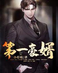 第一豪婿免费阅读林阳