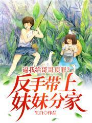 哥哥替妹妹出气