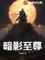 暗影至尊f2手柄app安卓