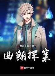 类似曲朗探案的
