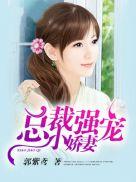 总裁强宠小娇妻TXT安蓝