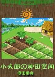 小夫郎的种田空间完结txt