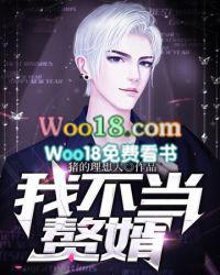 我不当赘婿 市井仙人