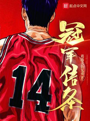 冠军信条精校版TXT