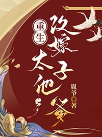重生改嫁太子他爹胤爷免费阅读