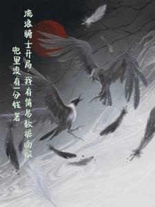 流浪骑士开局我有简易数据面板TX丅