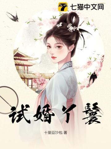 试婚丫鬟婉娘结局