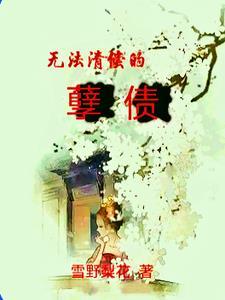 无法偿还的代价是什么