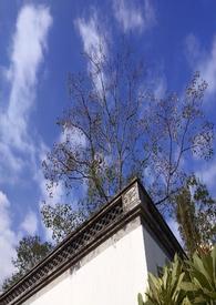 一念之间回南雀全文在线阅读