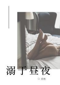 溺于昼夜NP作者流枝
