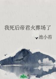 我死后帝君火葬场了by池小苔
