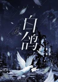 白鸽子和灰鸽子哪个营养价值高