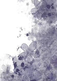 曼陀罗到底是什么