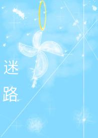 迷路代表什么生肖