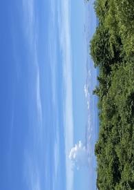 错过的青春拿什么赎回