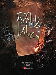 秘战风云电视剧剧情介绍
