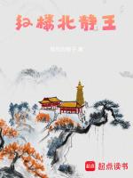 红楼北静王和林黛玉