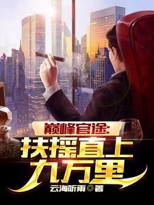 巅峰官路免费阅读高