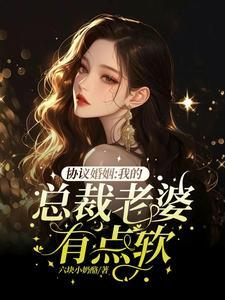 和女总裁假结婚的