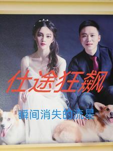 仕途狂飙结局怎么样