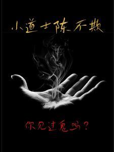 小道士陈不欺的最新章节更新内容是什么