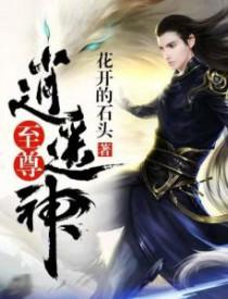 至尊逍遥神有多少个老婆