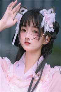 宋安泽秋晚清抄袭案曝光