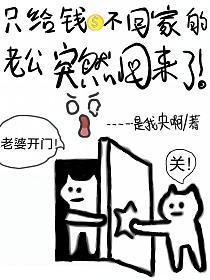 只给钱不回家的老公忽然回来了全文
