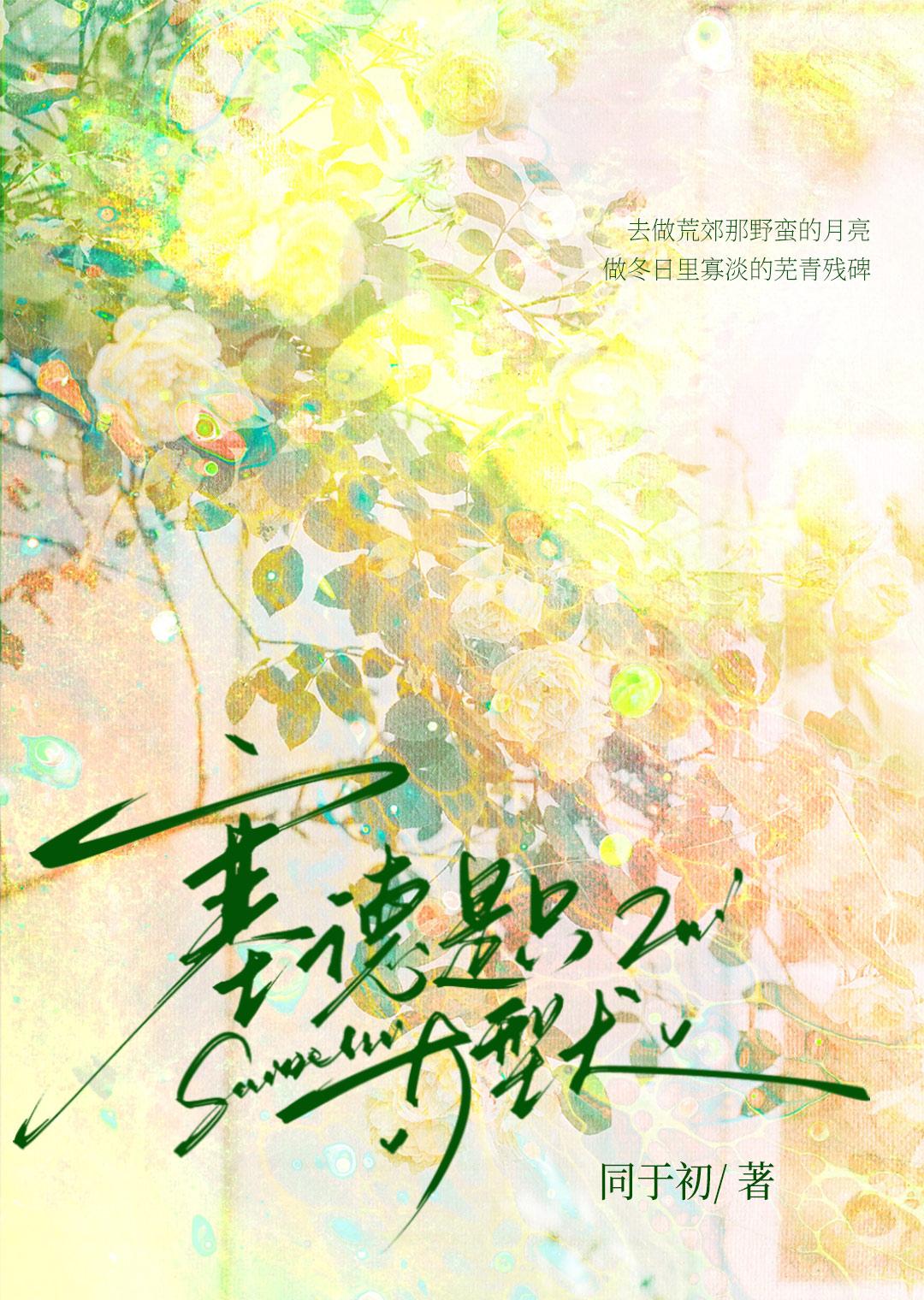 赛德是什么意思