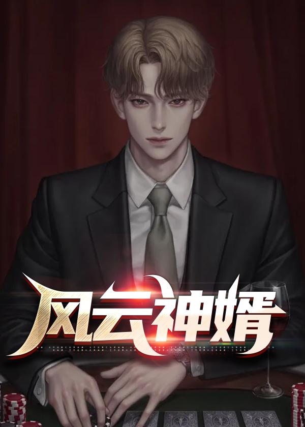 风云神婿在线观看