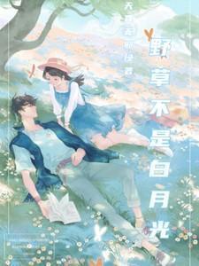 野草不是白月光全文免费阅读全文