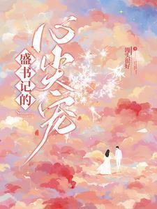 盛书记的心尖宠最新章节更新情况