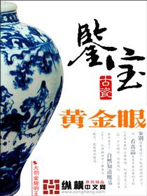 黄金眼完整版