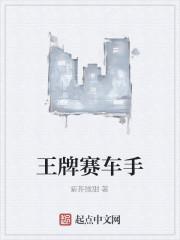 王牌赛车手动漫