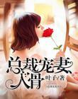 总裁宠妻入骨子衿txt