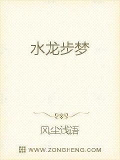 水龙是什么宝可梦