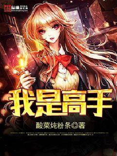 我是高手短剧大结局