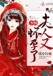 少帅傻夫人电视剧免费观看