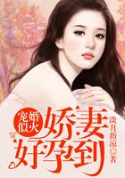 宠婚似火娇妻好孕到免费全文