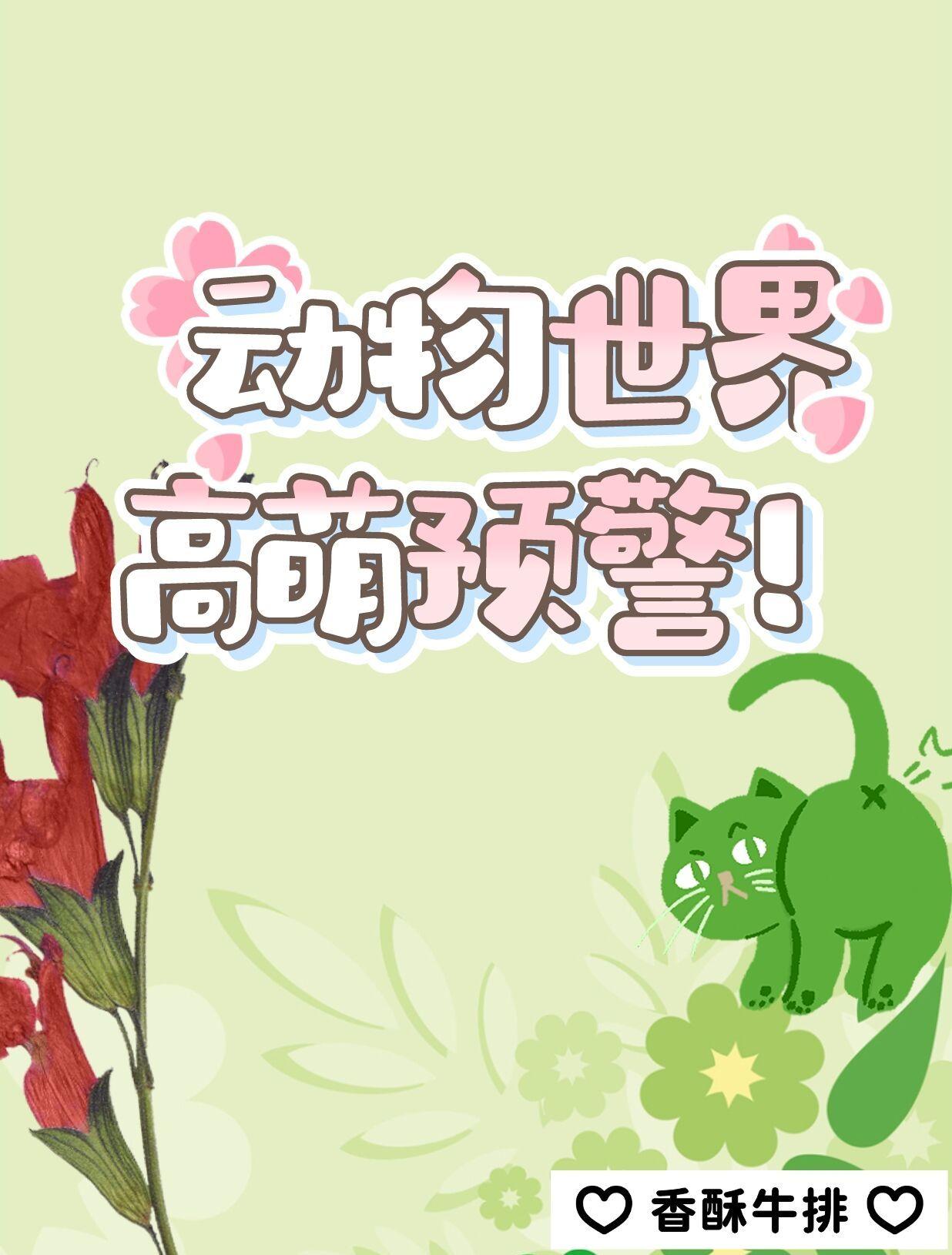 动物世界吧