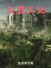 大国工业txt百度