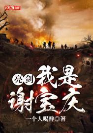 亮剑之我是谢宝庆