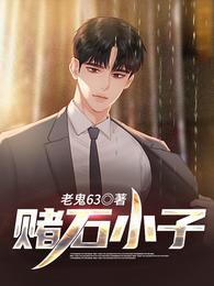 赌石小子古董王免费