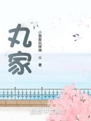 丸家TXT百度