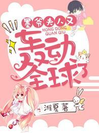 夫人又轰动全球了免费版
