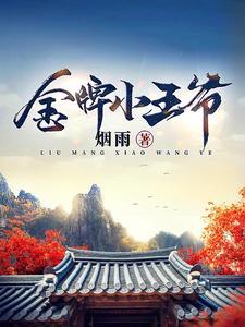 金牌小王爷在线观看