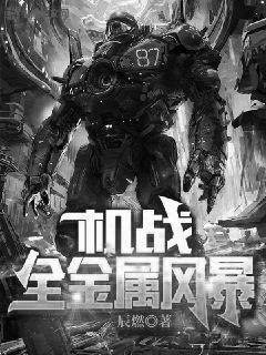 机战风暴百度百科