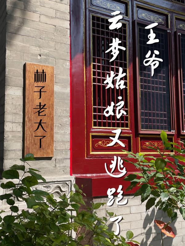 云梦姑娘又逃跑了免费阅读