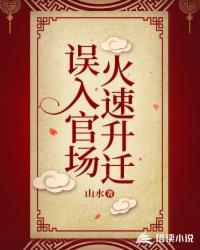 误入官场怎么样