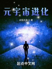 元宇宙进化TXT免费奇书网